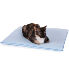 Load image into Gallery viewer, The Original Purr Pad 🐱🐈 2- pack
