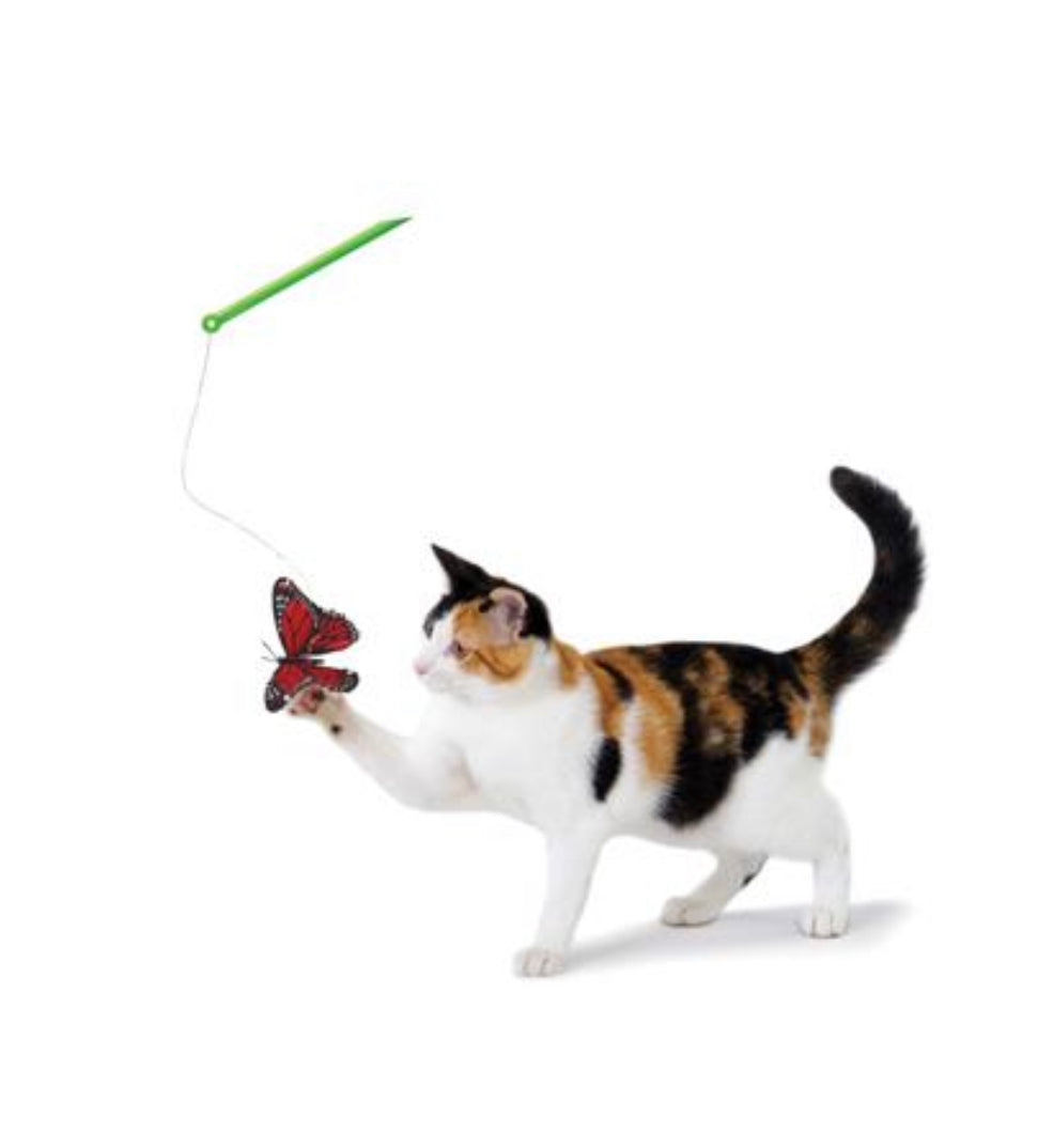 Butterfly Chase Wand Cat Toy